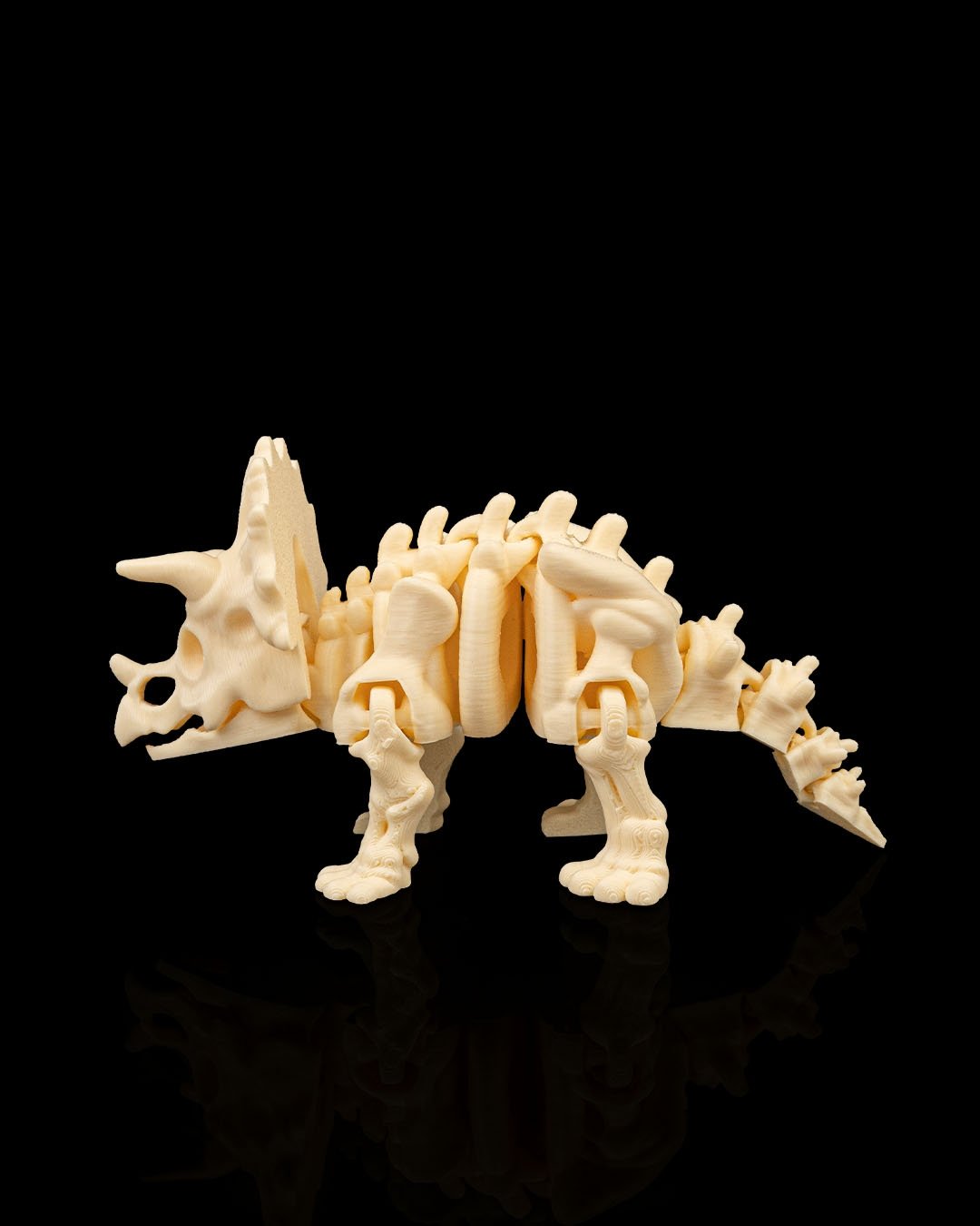 Esqueleto de Dinosaurio Triceratops Articulado Flex - Figura Coleccionable