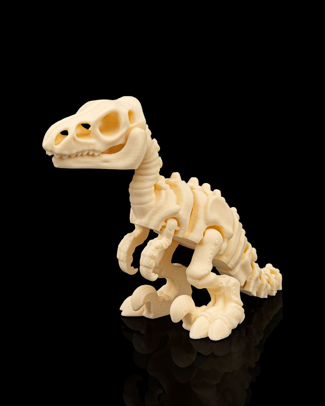 Esqueleto de Dinosaurio Velociraptor Articulado Flex - Figura Coleccionable