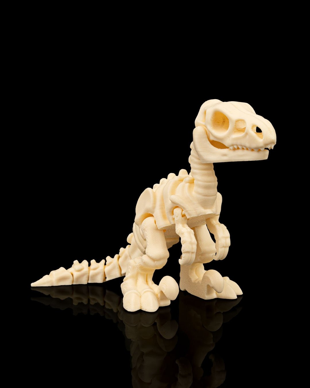 Esqueleto de Dinosaurio Velociraptor Articulado Flex - Figura Coleccionable